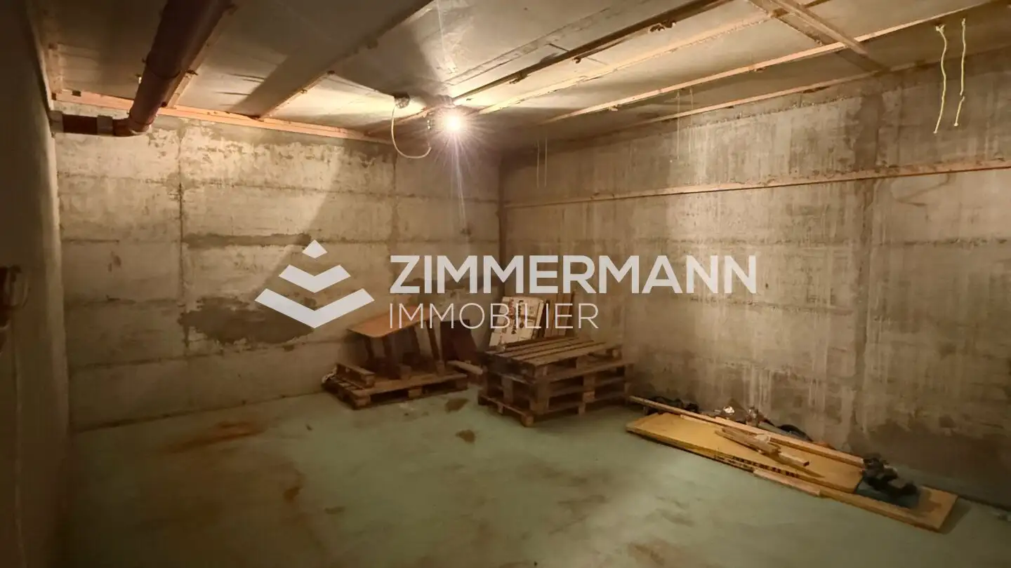 Lagerraum mieten - Rue Du Bois-Melly, 1205 Genève