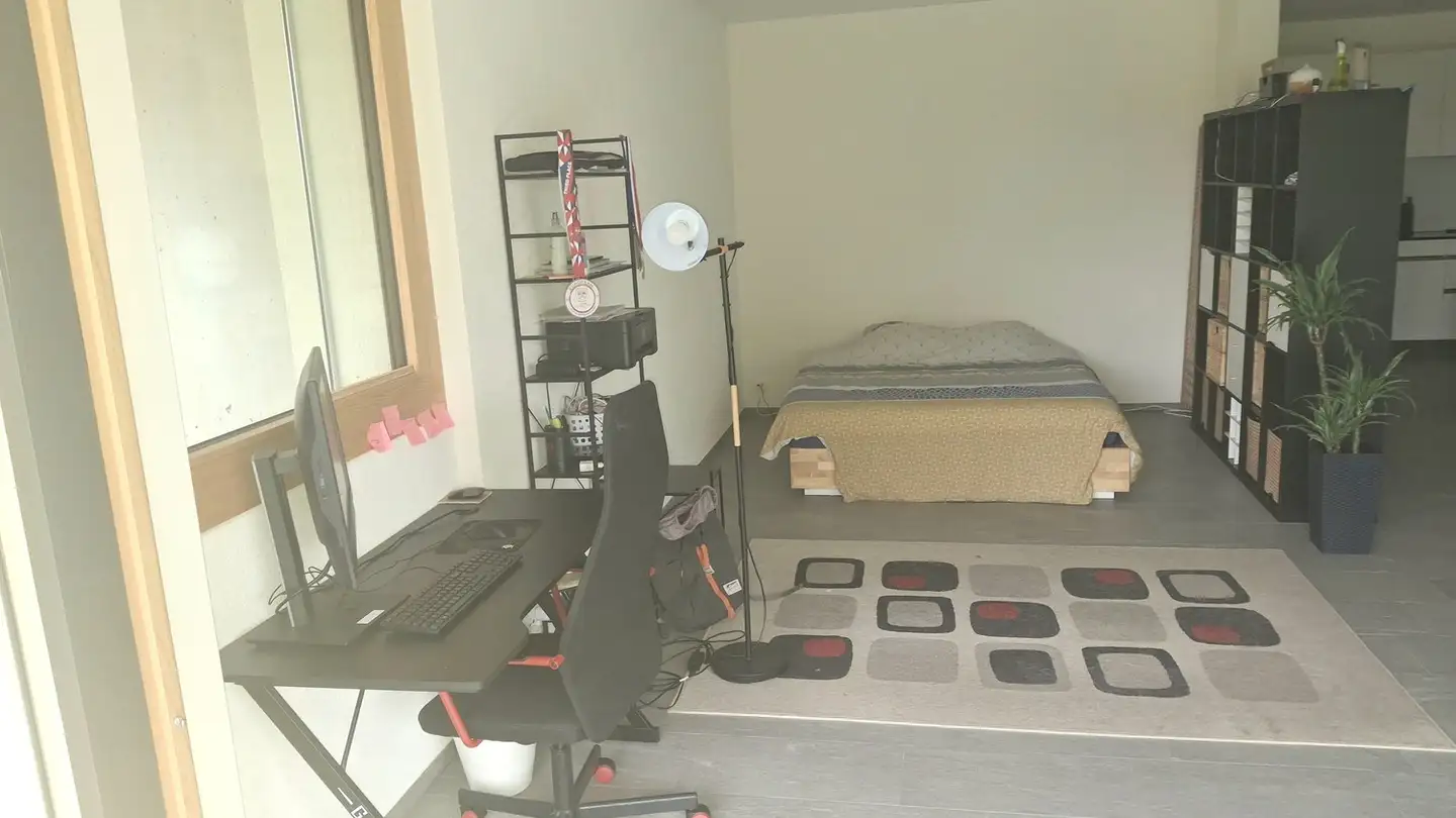 Appartamento in affitto - Asylstrasse 27, 8620 Wetzikon ZH - Photo 4