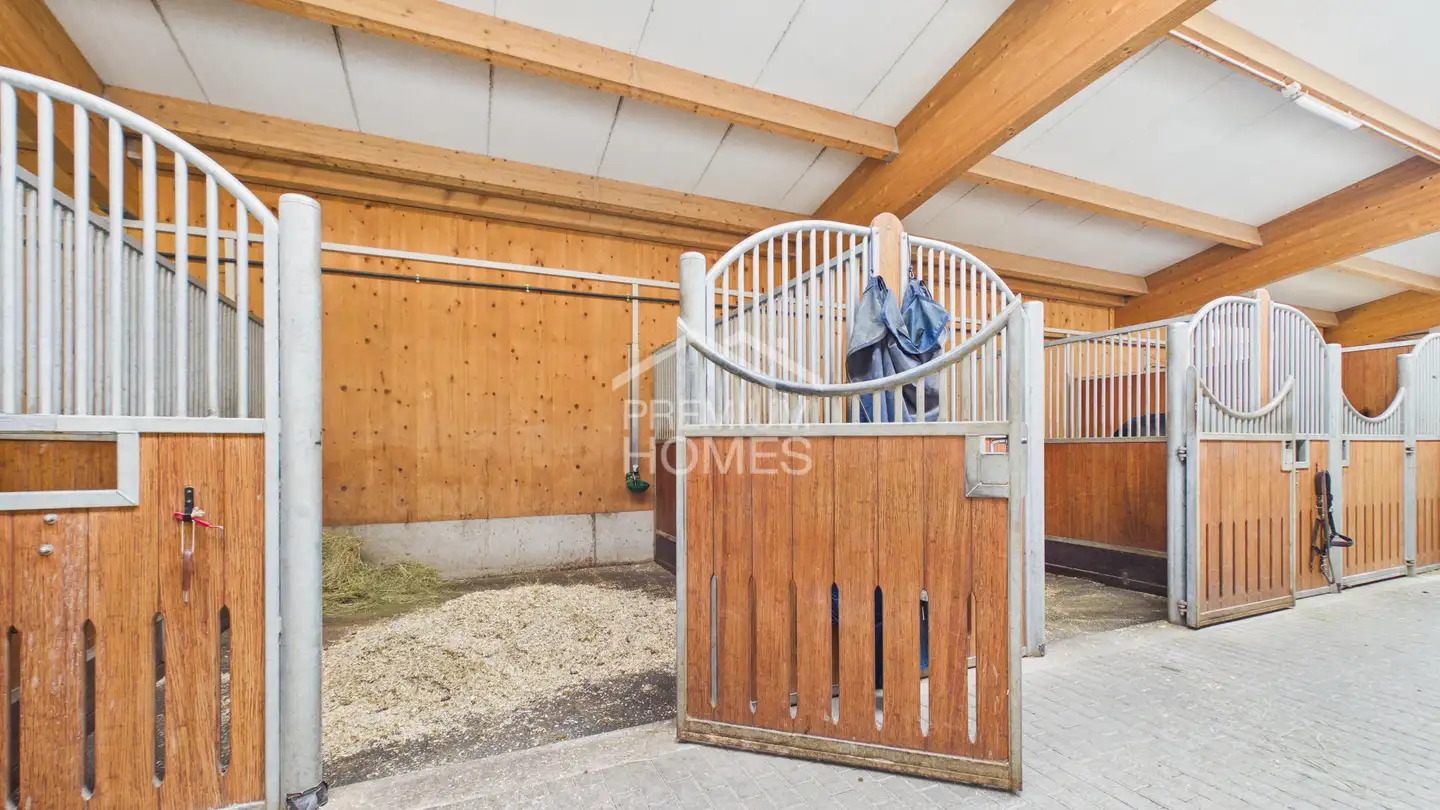 Mischgenutztes Gebäude kaufen - 3856 Brienzwiler - Foto 2