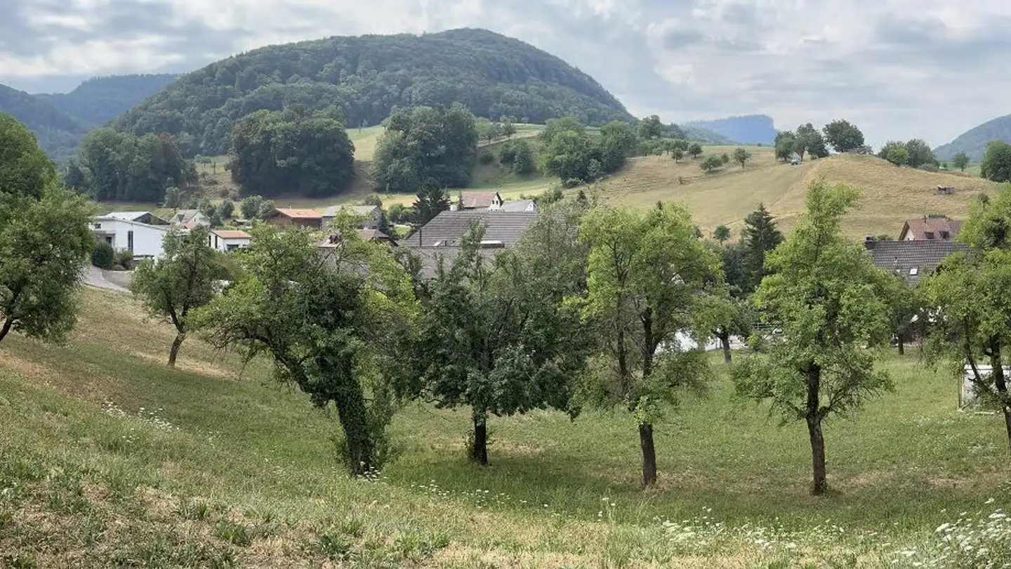 Maison jumelle à vendre - Schafmattstrasse, 4495 Zeglingen - Photo 2