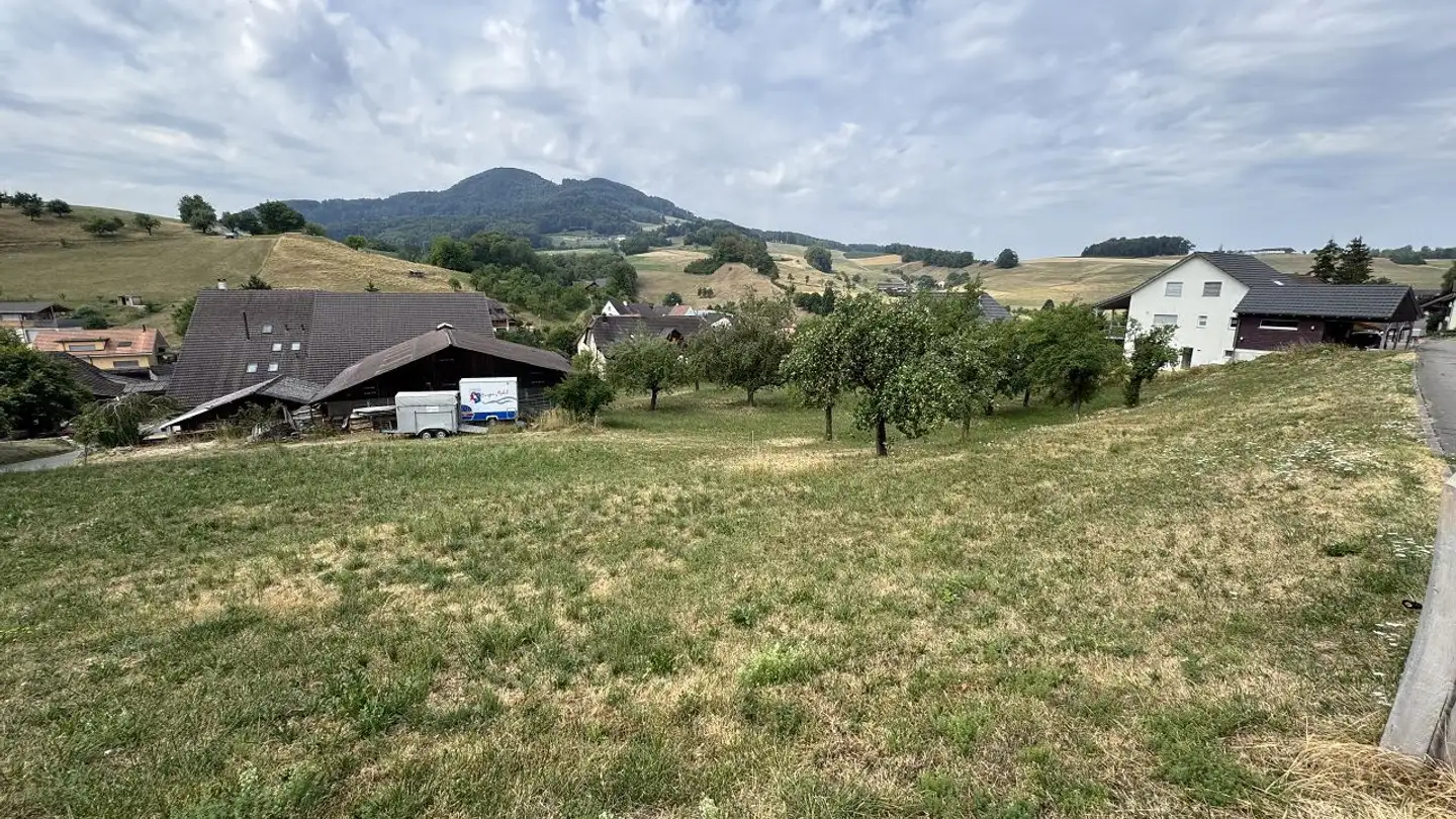 Maison jumelle à vendre - Schafmattstrasse, 4495 Zeglingen - Photo 4