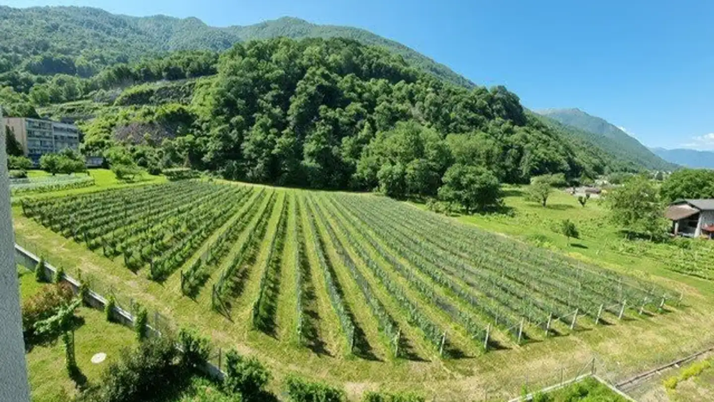 Appartamento in affitto - Ai Boschi 17, 6593 Cadenazzo - Foto 4