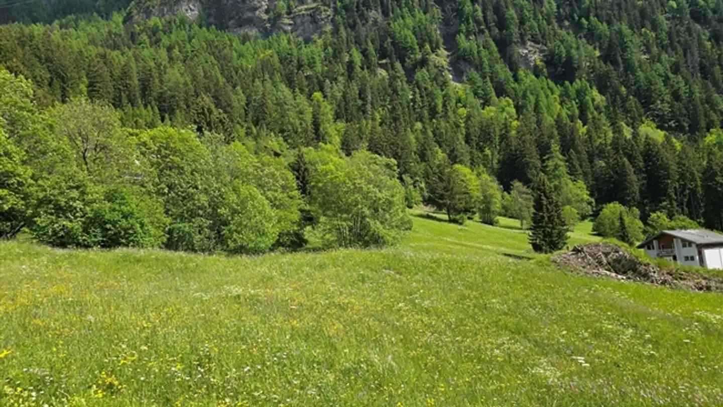 Apartment for sale - 3954 Leukerbad - Photo 3