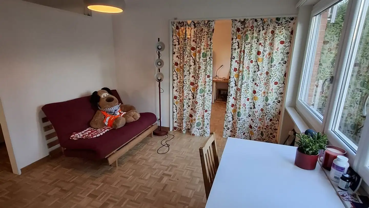 Appartamento in affitto - 6006 Luzern - Foto 2