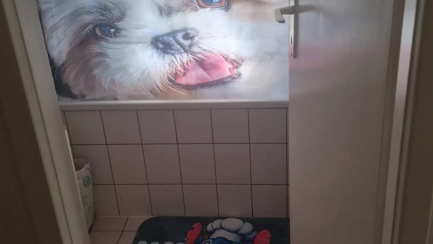 Appartement à louer - Rue Du Vieux-Pont 72, 1630 Bulle - Photo 2