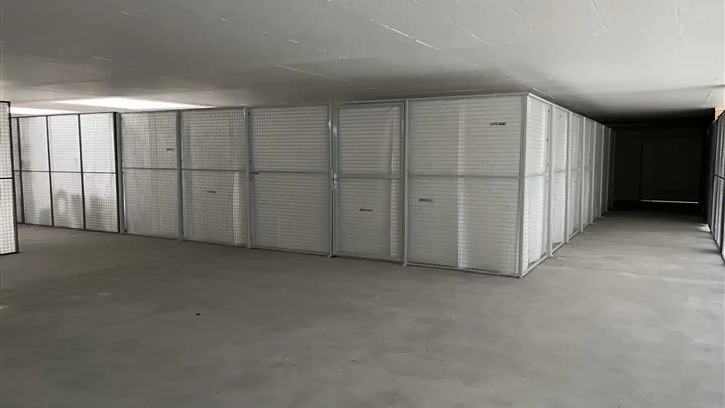 Espace de stockage à louer - Mandachstrasse 54, 8155 Niederhasli - Photo 2