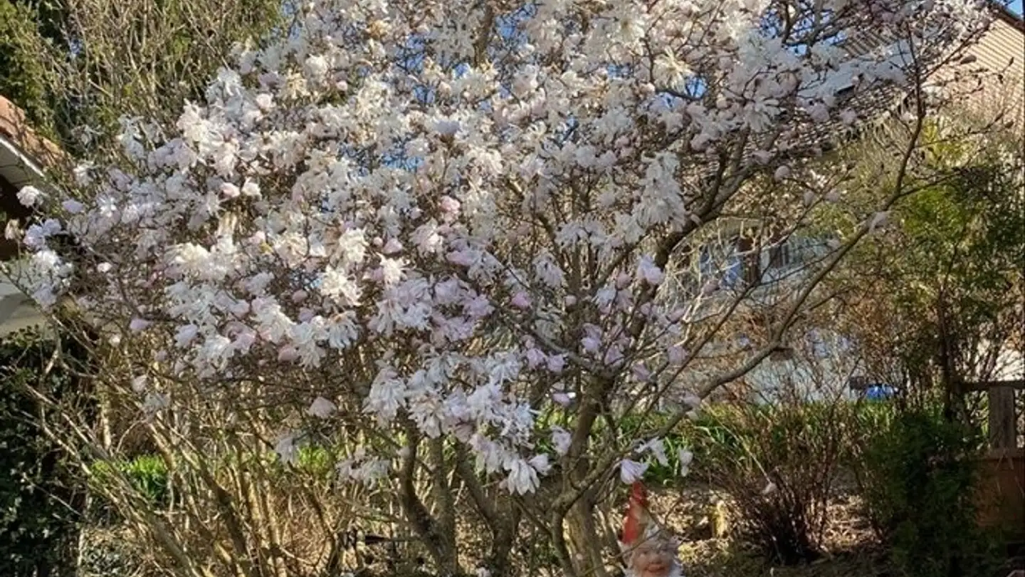 Apartment for rent - Impasse Des Rochettes 8, 1776 Montagny-la-Ville - Photo 4