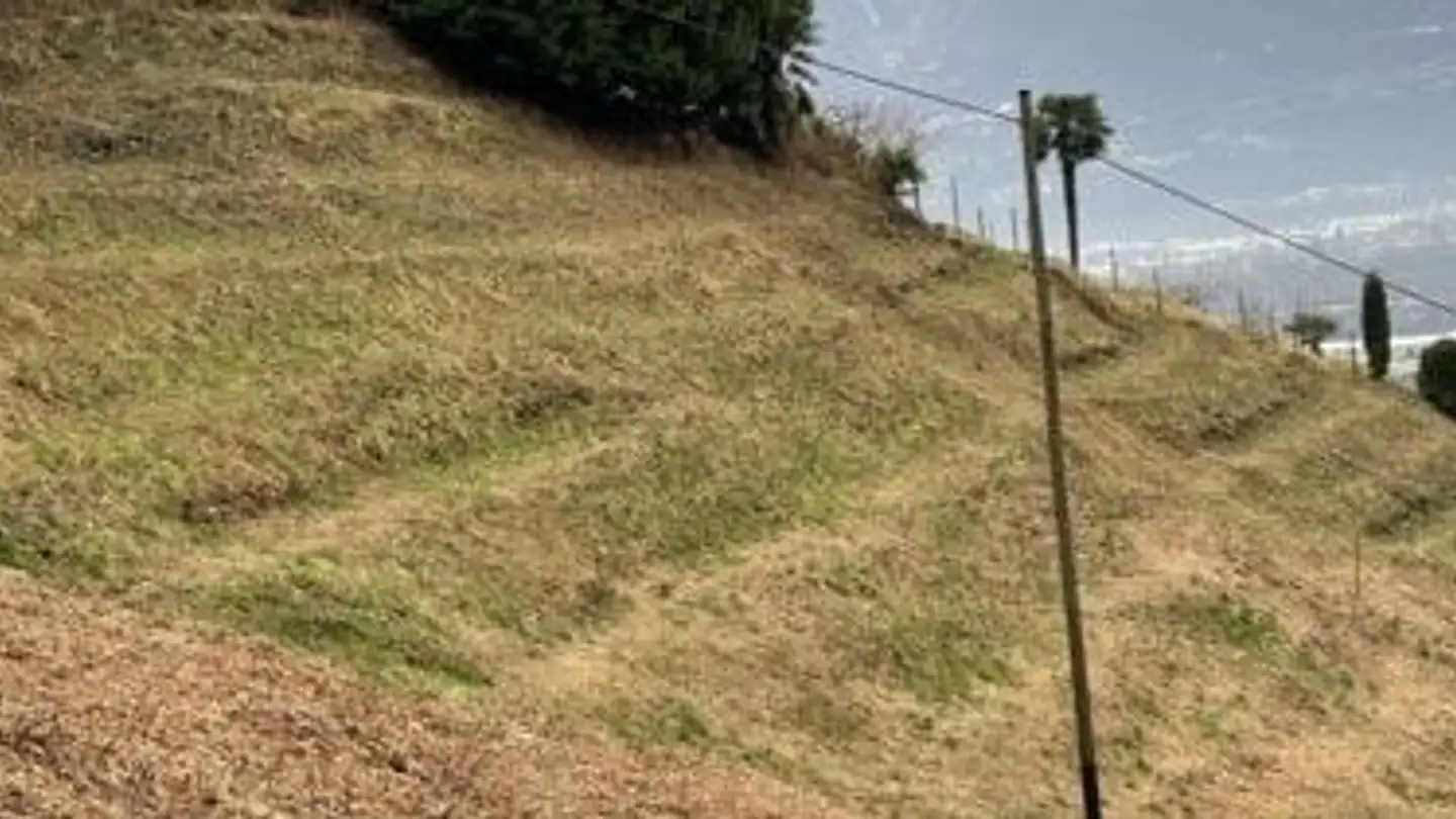 Terreno edificabile in vendita - Via Al Bosco, 6516 Cugnasco - Photo 2