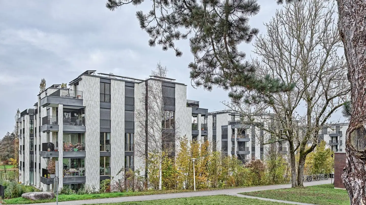 Appartement à louer - Allenmoosstrasse 50, 8057 Zürich