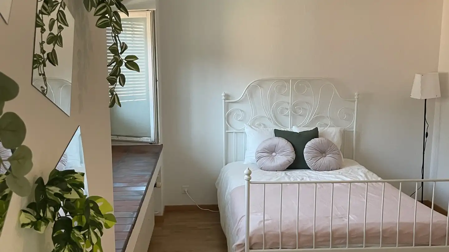 Furnished apartment for rent - Steinstrasse 72, 8003 Zürich