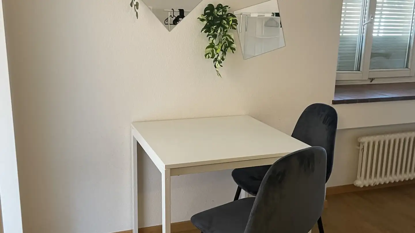 Furnished apartment for rent - Steinstrasse 72, 8003 Zürich - Photo 2