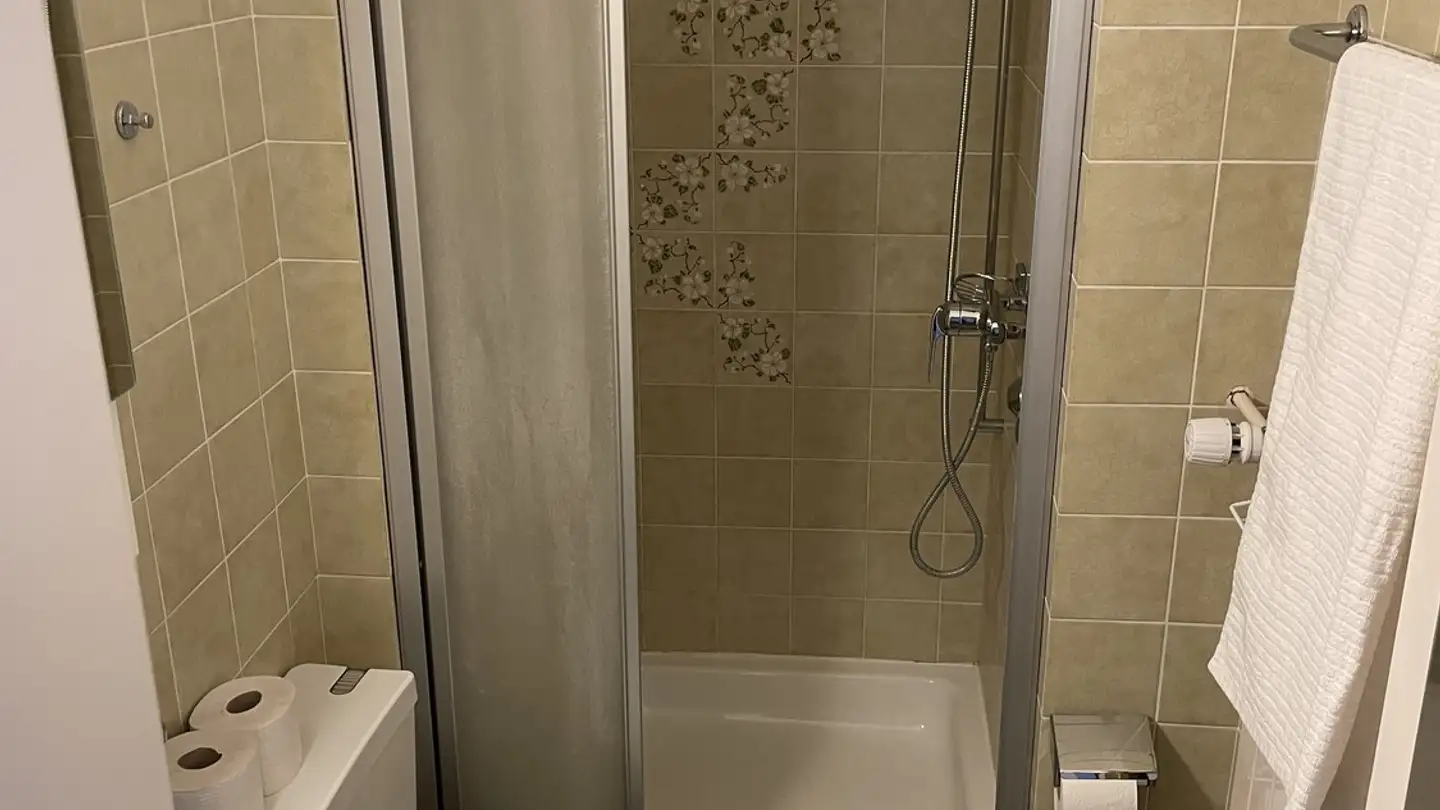 Furnished apartment for rent - Steinstrasse 72, 8003 Zürich - Photo 3