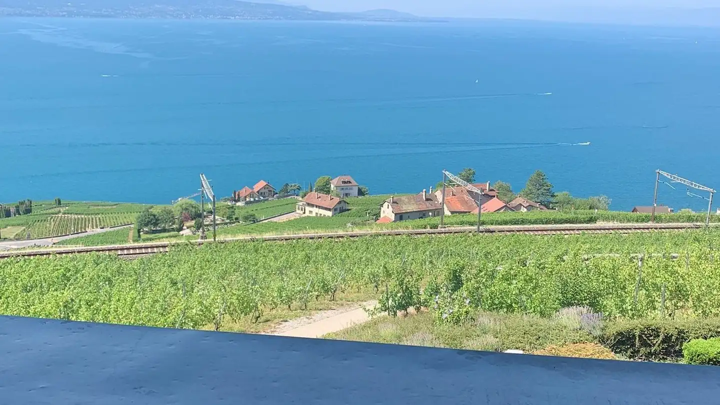 Wohnung mieten - Route Du Signal 7, 1091 Grandvaux