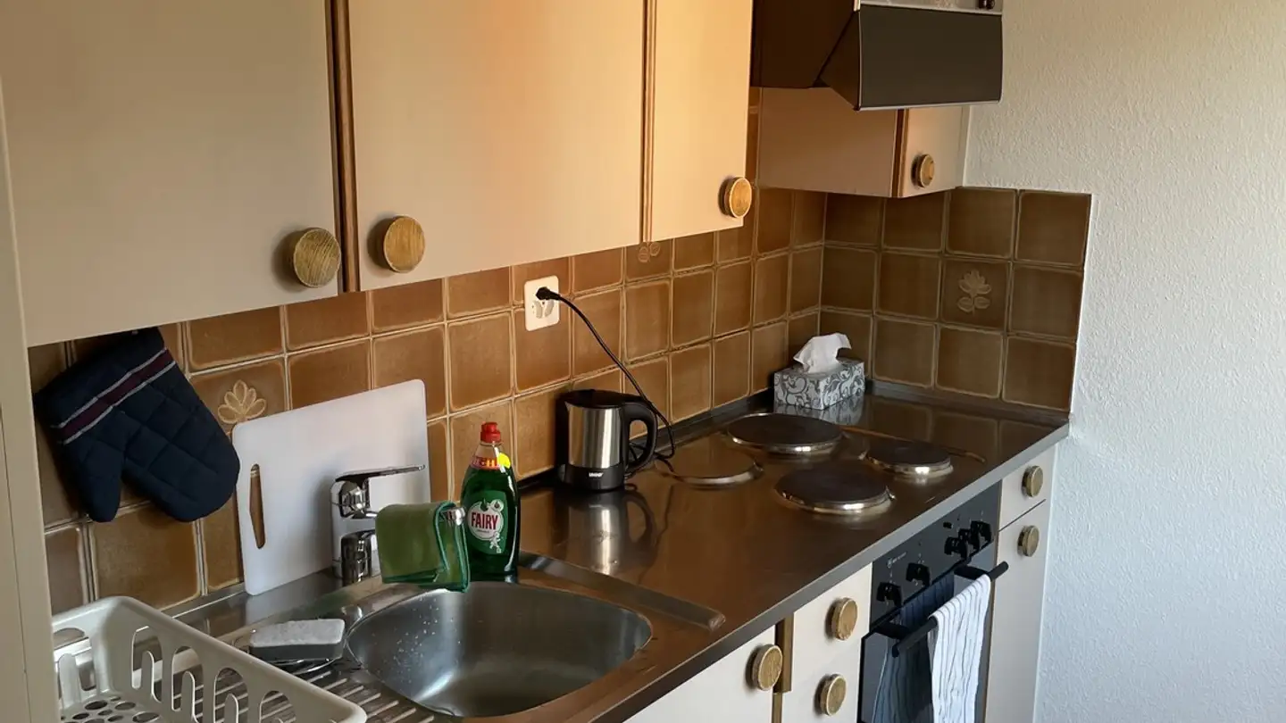 Furnished apartment for rent - Steinstrasse 72, 8003 Zürich - Photo 4