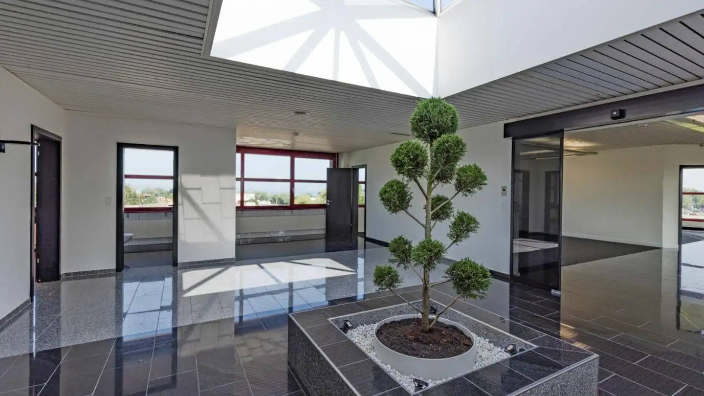 Bureau à louer - Hauptstrasse 104, 9422 Staad SG