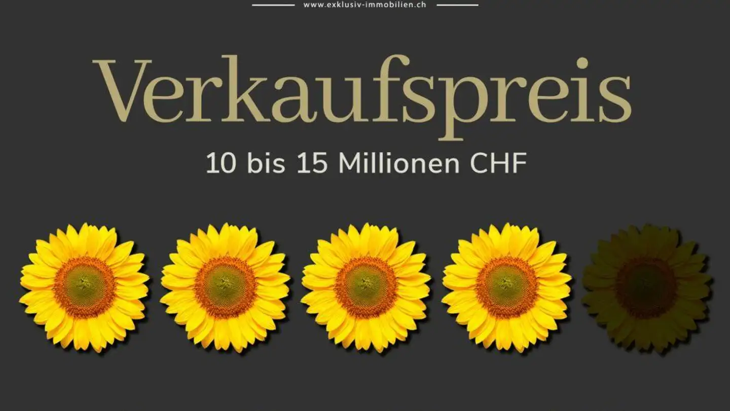 Einfamilienhaus kaufen - 8832 Wollerau - Foto 4