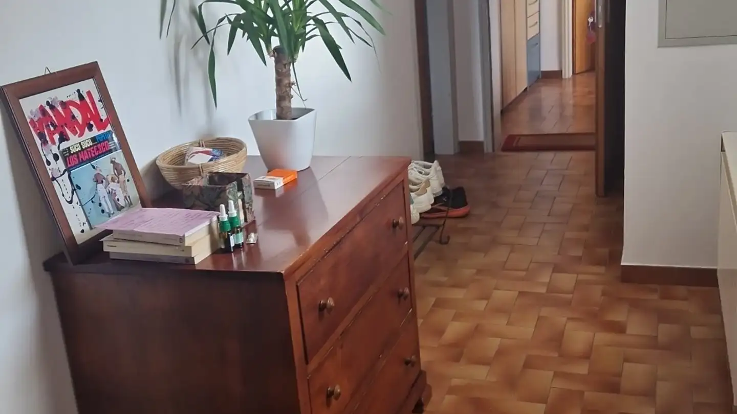 Wohnung mieten - Viale Baldassarre Longhena 42, 6817 Maroggia