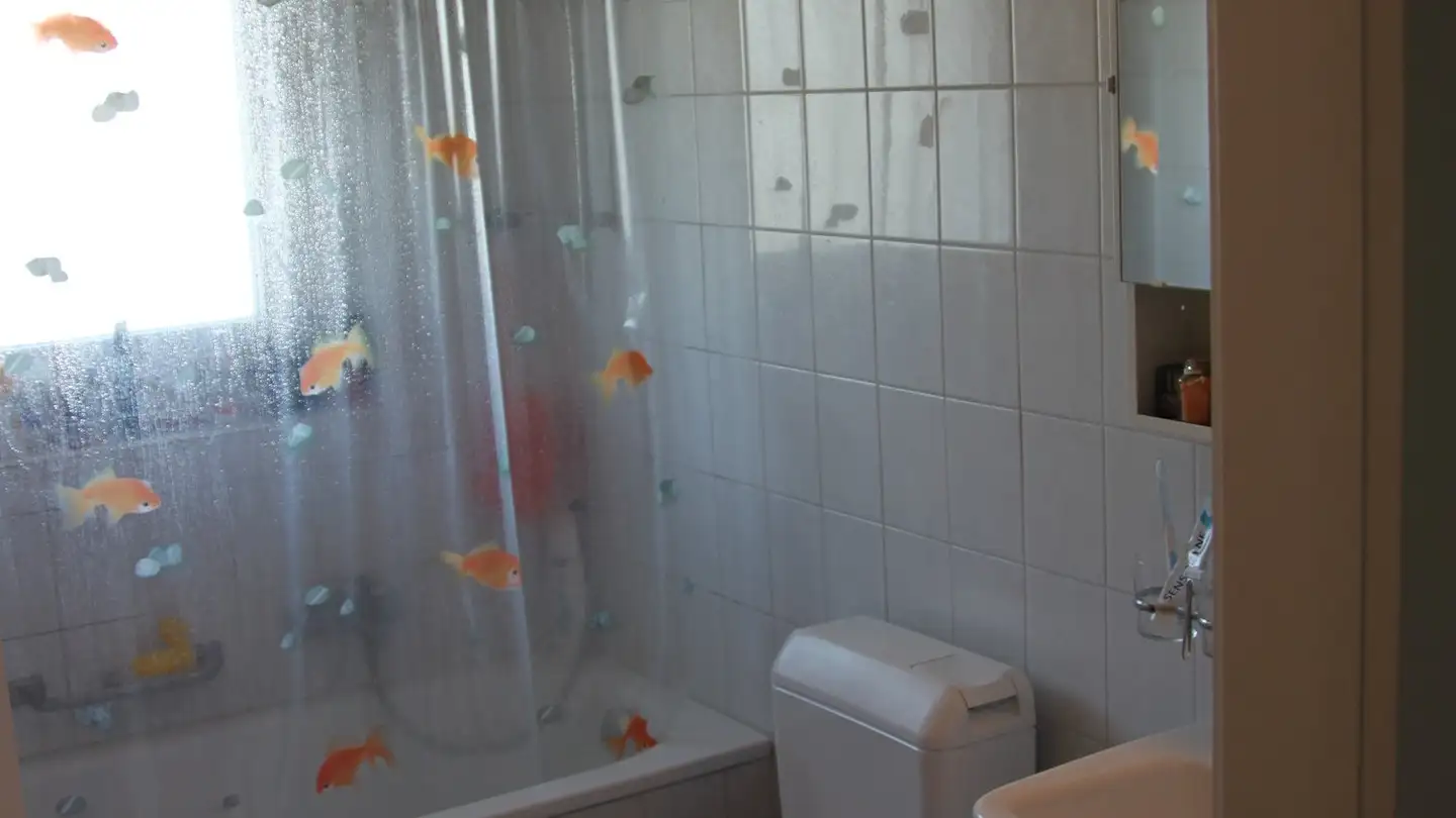 Appartamento in affitto - Sägeweg 6, 5070 Frick - Foto 3