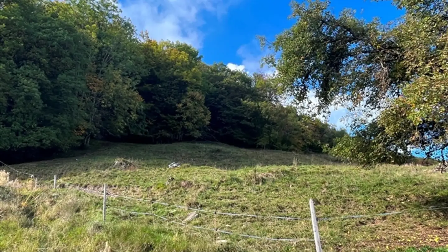 Terreno edificabile in vendita - 1868 Collombey - Photo 2