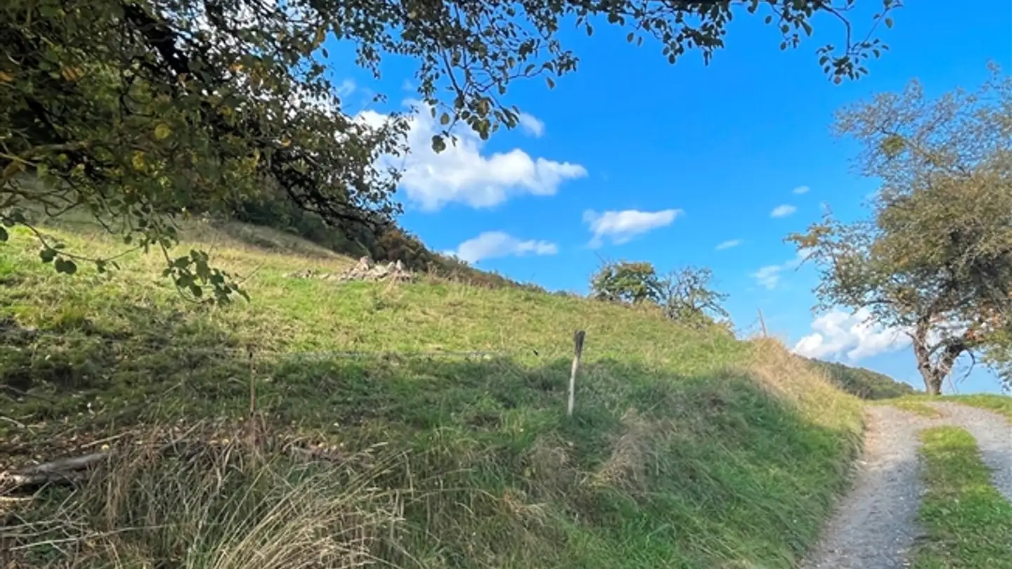 Terreno edificabile in vendita - 1868 Collombey - Photo 3