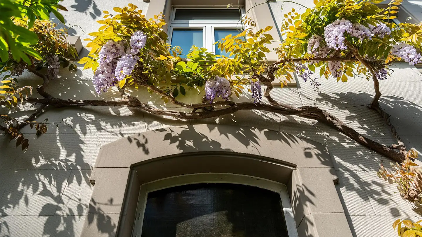 Single house for sale - Brückfeldstrasse 27, 3012 Bern - Photo 4