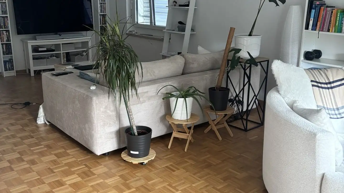 Wohnung mieten - 8102 Oberengstringen