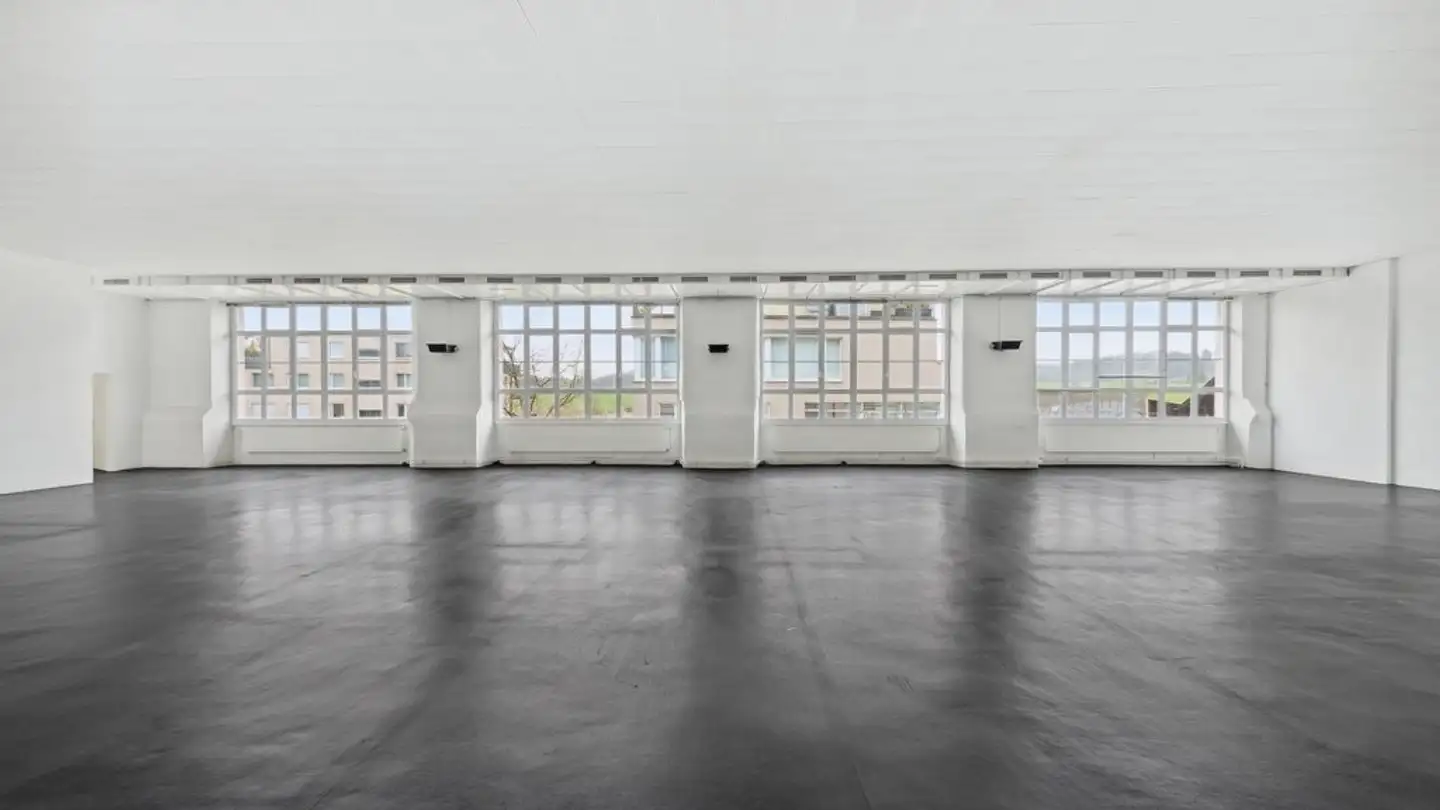 Commerciale in affitto - Alte Affolterstrasse 1, 8909 Zwillikon - Foto 4