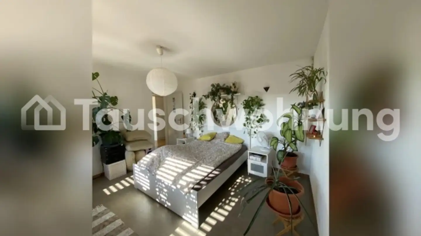 Wohnung mieten - 8600 Dübendorf