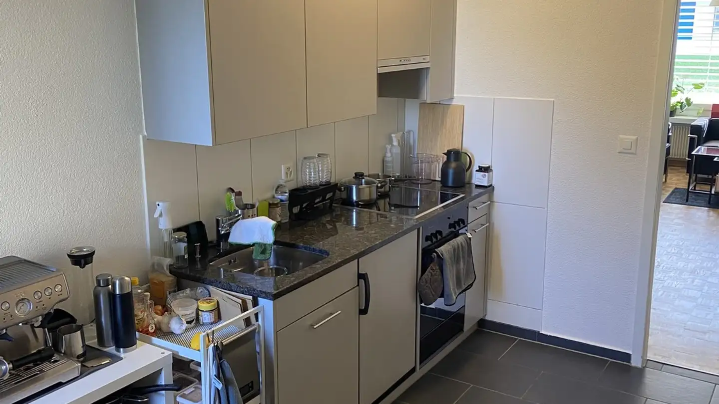 Apartment for rent - 8302 Kloten - Photo 2