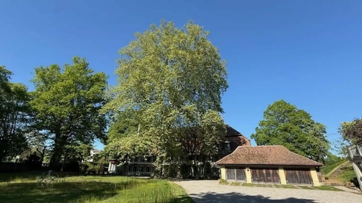 Duplex for rent - Thunstrasse 99, 3074 Muri b. Bern