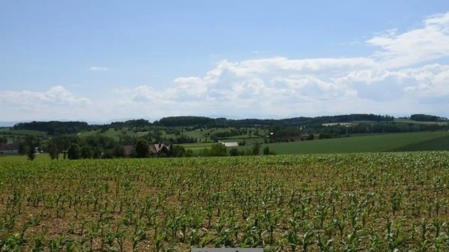 Bien immobilier à vendre - 1987 Hérémence