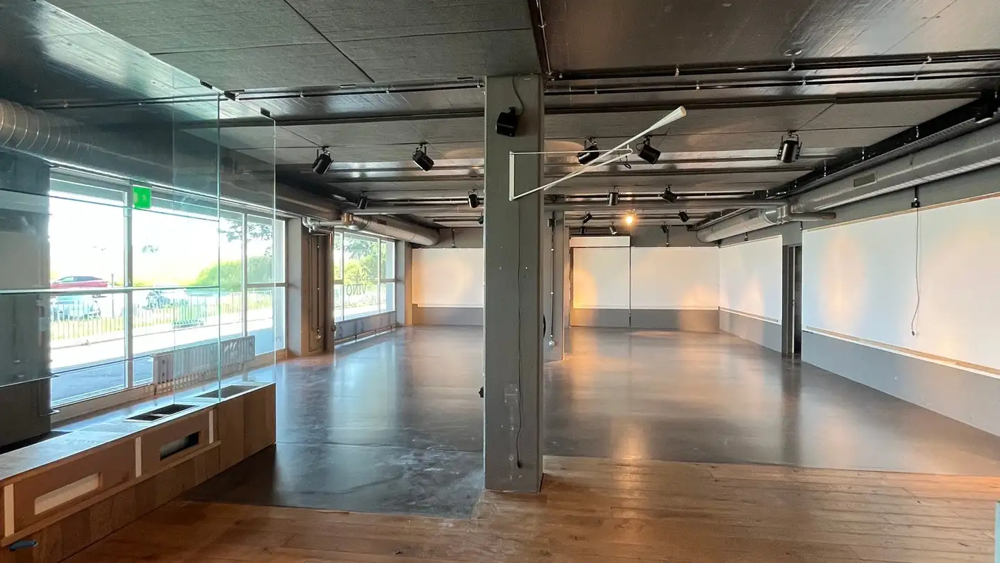 Proprietà industriale in affitto - Langgass 11, 5244 Birrhard - Photo 2