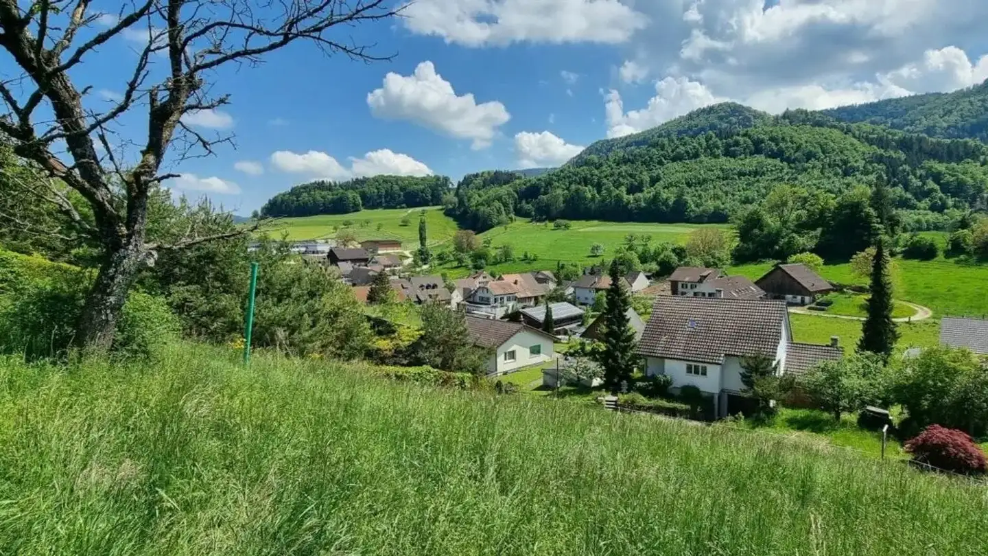 Constructible plot for sale - Fluhgasse, 4207 Bretzwil - Photo 4