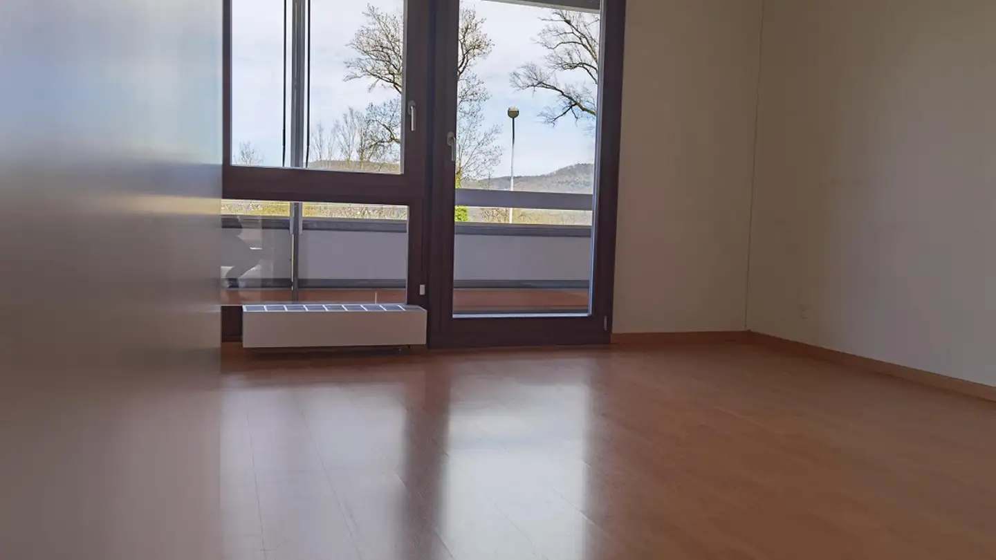 Appartamento in affitto - Sonneweg 38, 5323 Rietheim - Photo 3