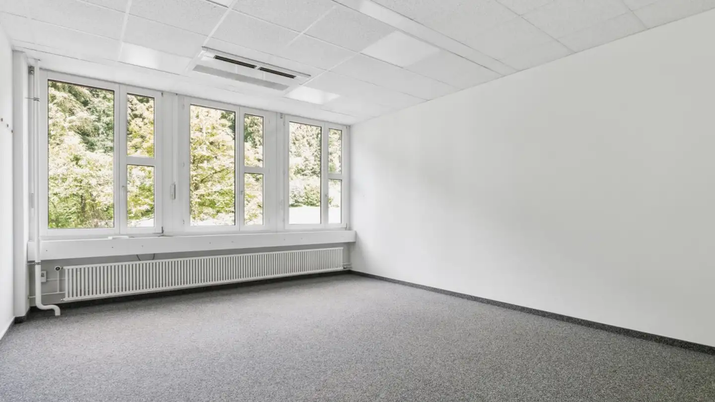 Office space for rent - Bernstrasse 388, 8953 Dietikon - Photo 4