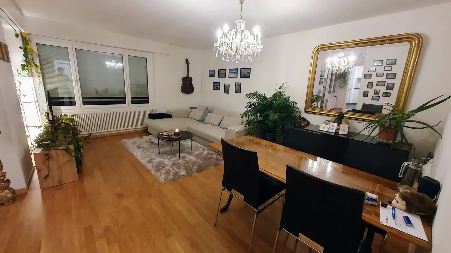 Appartement à louer - Schönbühlring 9, 6005 Luzern