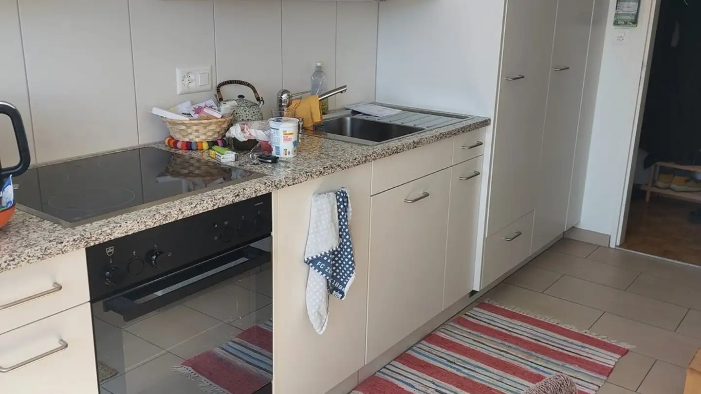 Appartement à louer - Binzikerstrasse 88, 8627 Grüningen - Photo 4