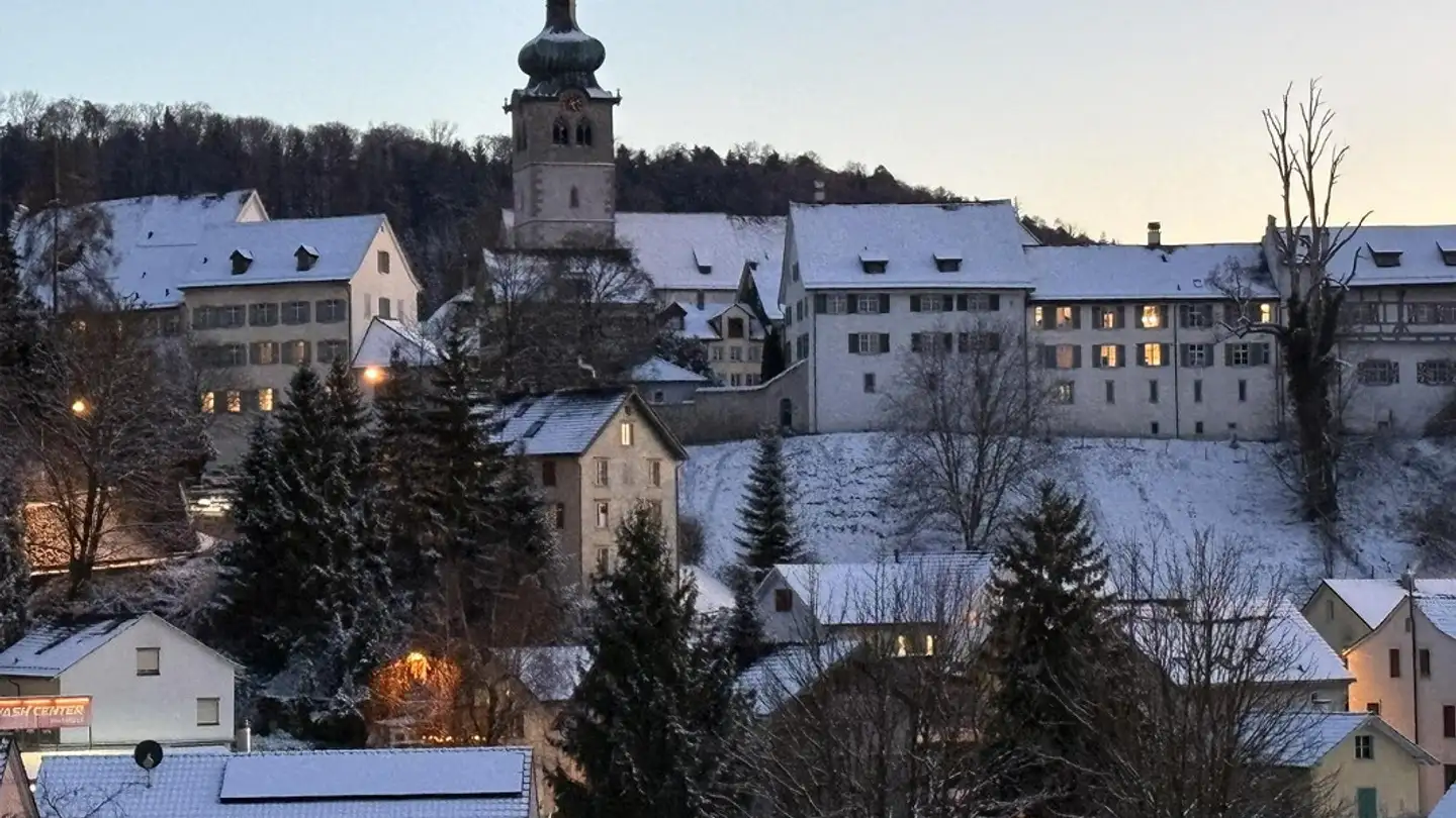 Penthouse for sale - Bruggmühle 11, 9220 Bischofszell - Photo 3