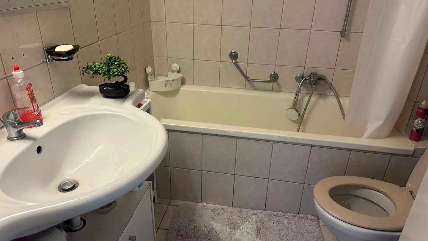 Single room for rent - 4127 Birsfelden - Photo 4