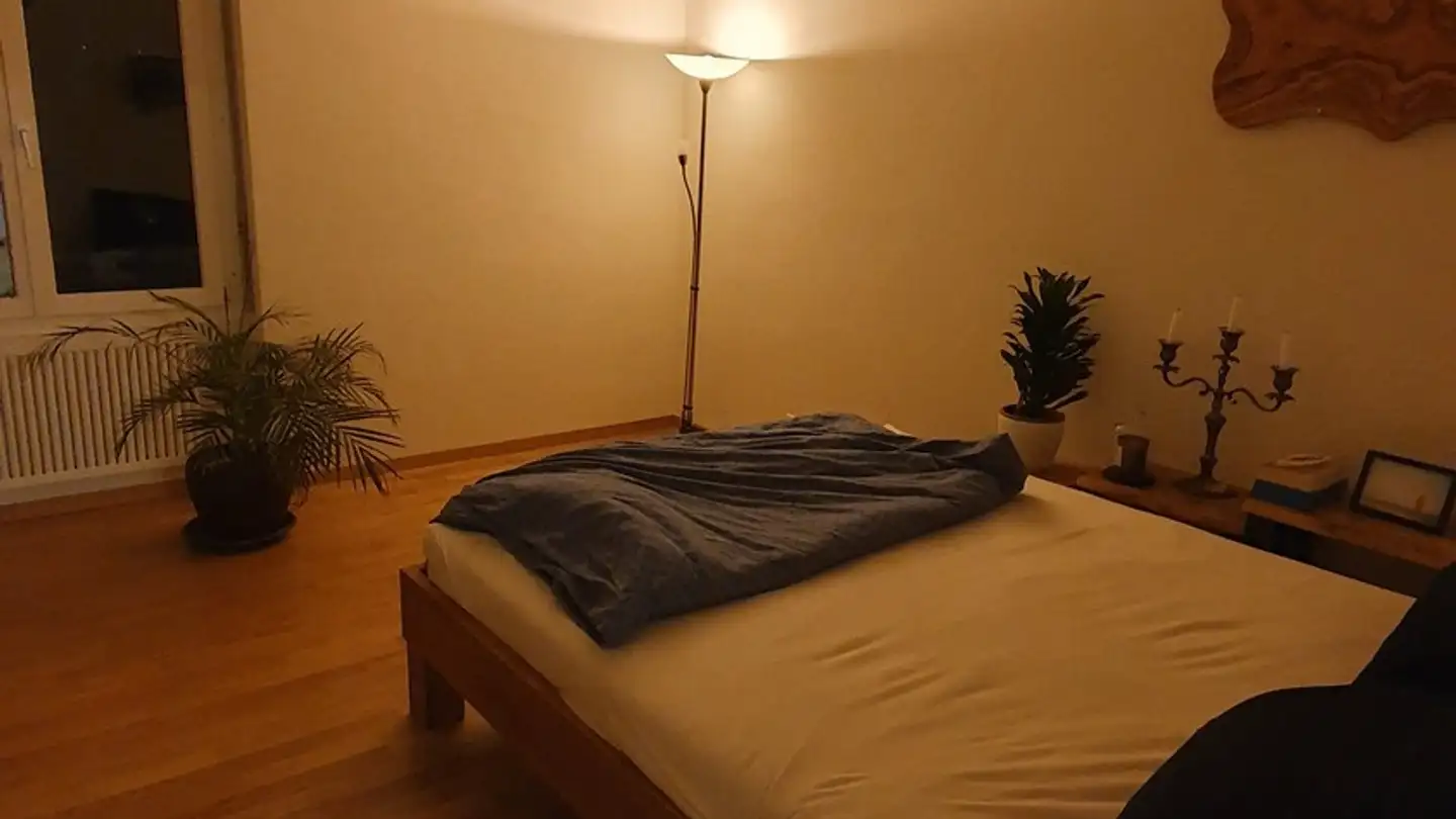 Appartamento in affitto - Schönbühlring 9, 6005 Luzern - Photo 4