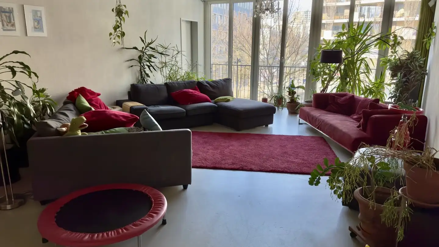 Single room for rent - Dialogweg 6, 8050 Zürich
