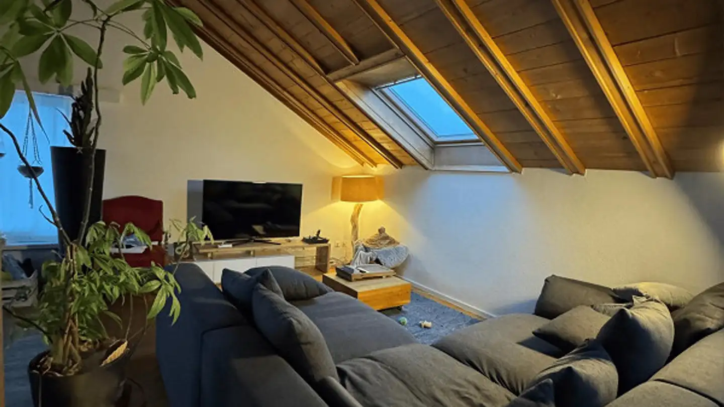 Appartement à louer - 9556 Zezikon