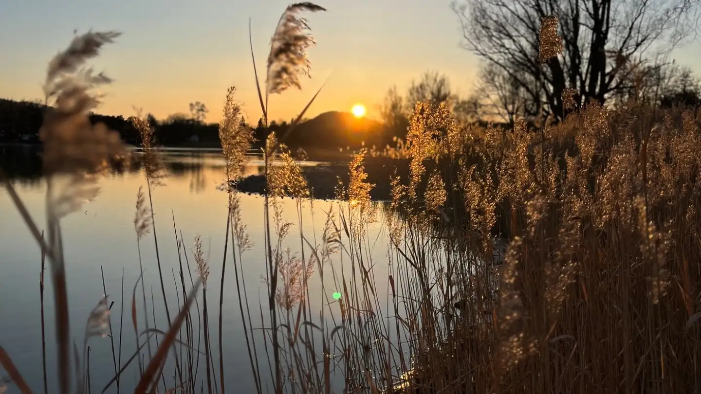 Single room for rent - Hoseweg 5, 8260 Stein am Rhein