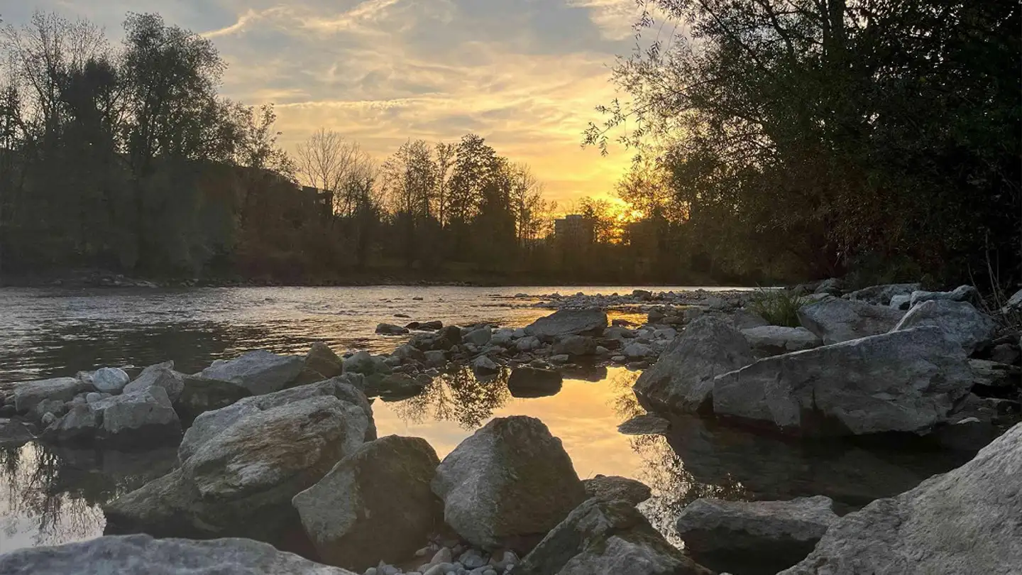 Single room for rent - 8049 Zürich - Photo 3