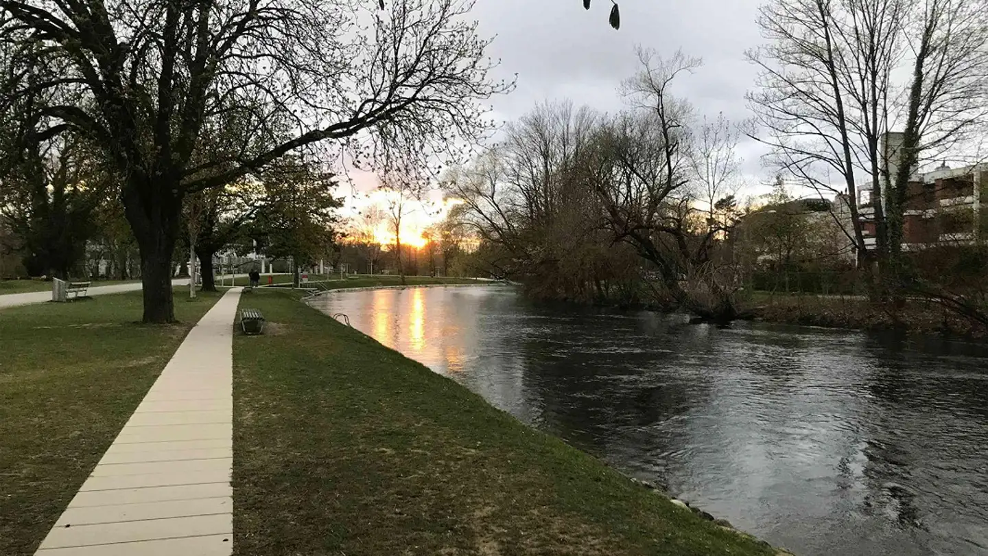 Single room for rent - 8049 Zürich - Photo 4