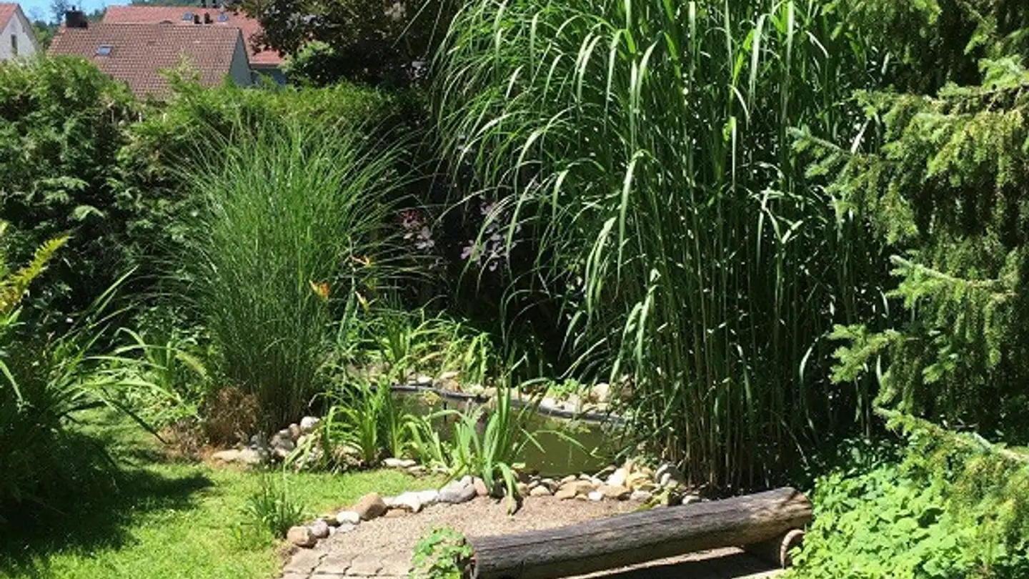 Casa bifamiliare in affitto - 8493 Saland - Foto 4