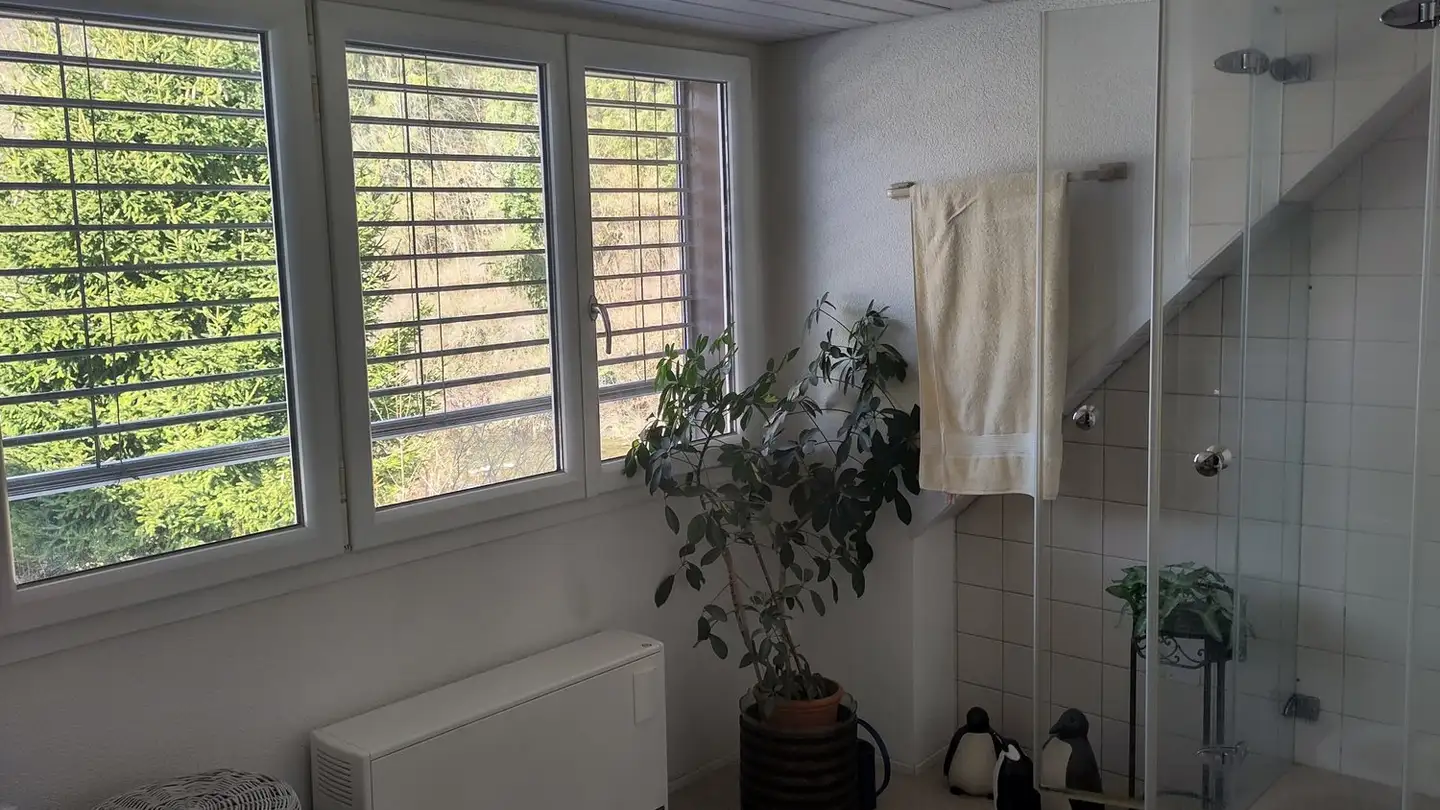 Casa singola in affitto - 8048 Zürich - Photo 4