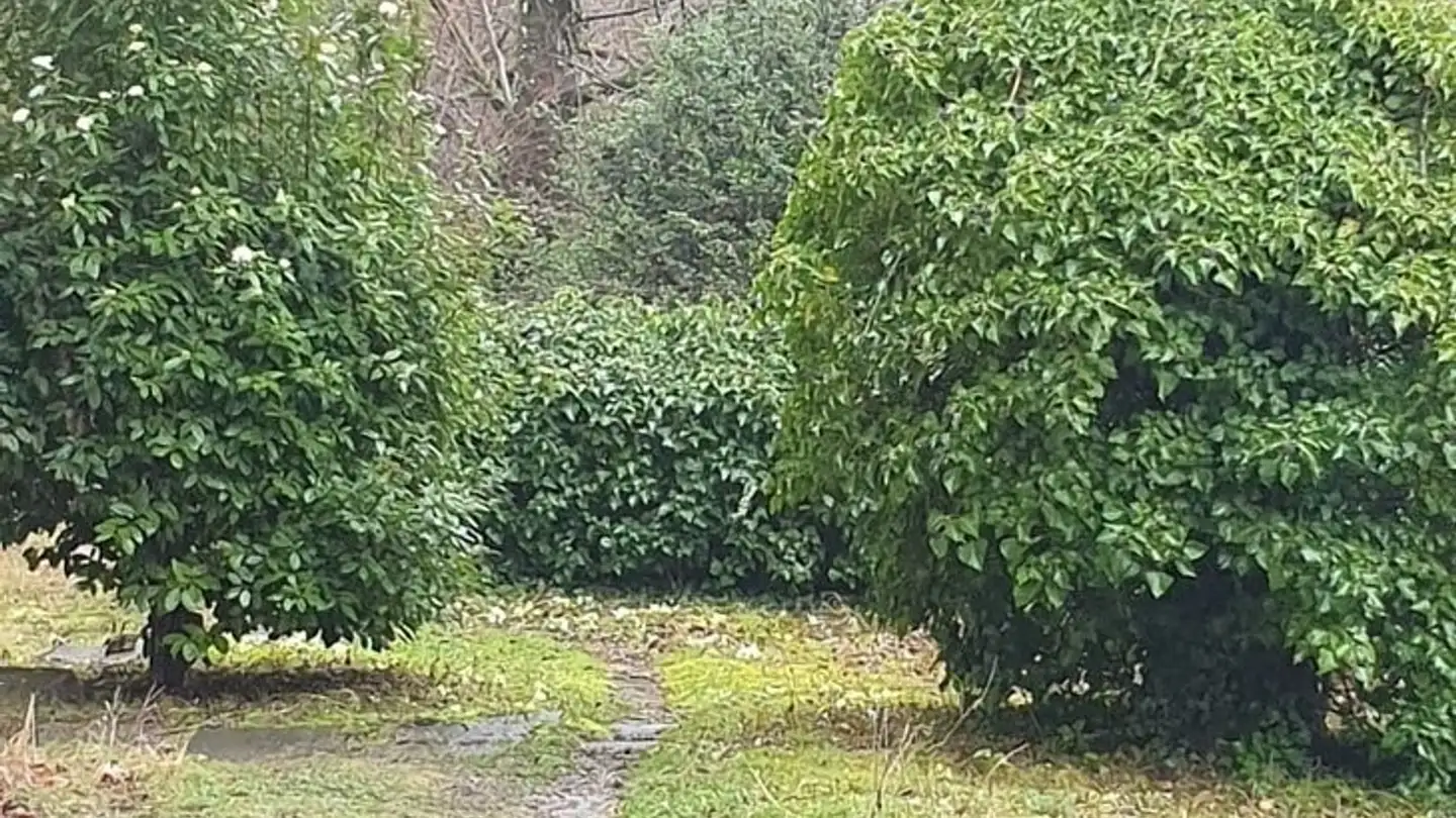 Stanza singola in affitto - 1012 Lausanne - Foto 2