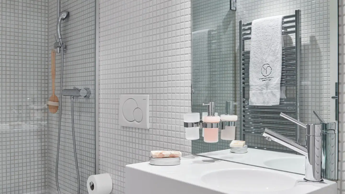 Appartement meublé à louer - Binzmühlestrasse, 8050 Zürich - Photo 4