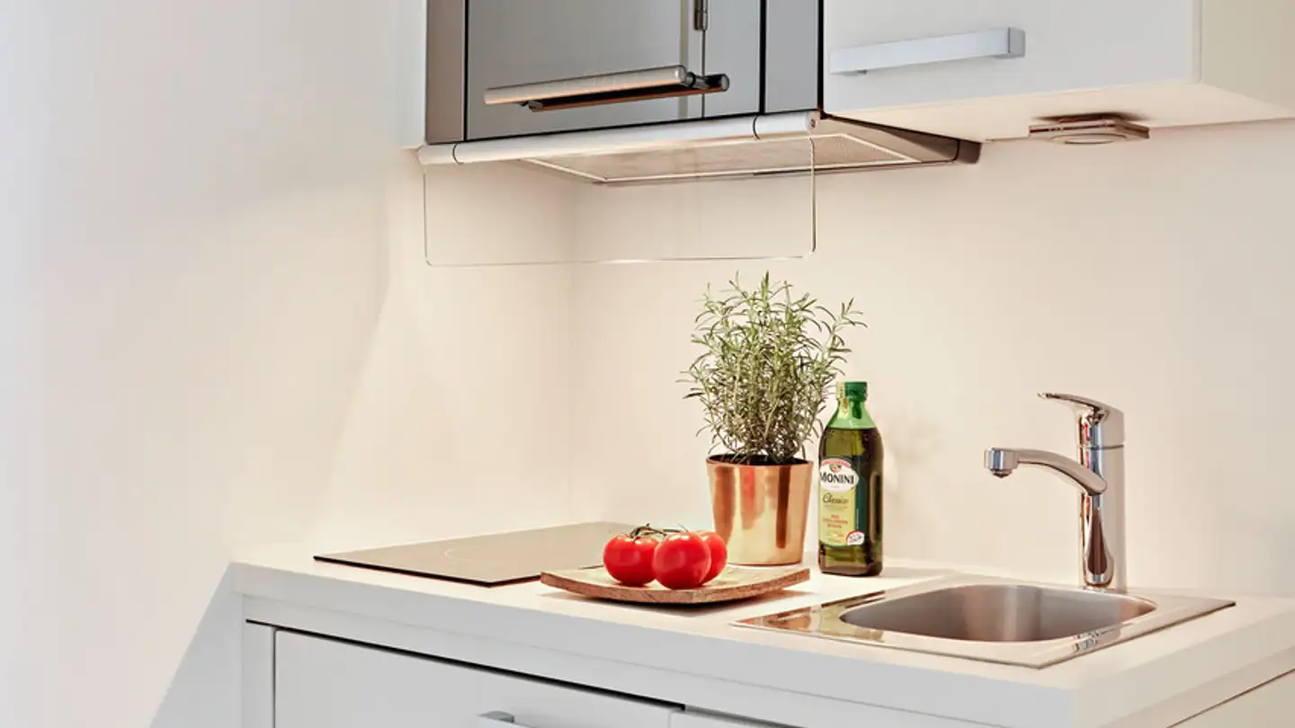Appartement meublé à louer - Binzmühlestrasse, 8050 Zürich - Photo 3